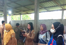 Masyarakat Musi Rawas Diingatkan, Sebelum Beli Hewan Kurban Cek SKKH 