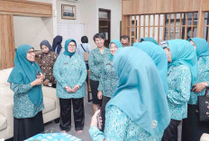 Seniman Hingga Teknokrat Bakal Dilibatkan Kepengurusan TP PKK Muba