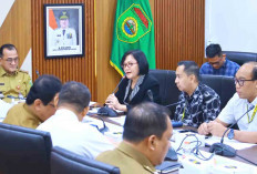 Optimalkan Penerimaan Pajak, ini yang Dilakukan Pemprov Sumsel