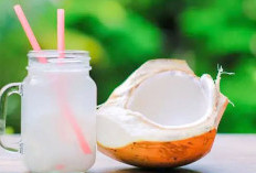 Minuman Sehat untuk Pengidap Asam Lambung