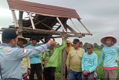 PPL di Musi Rawas Imbau Petani Antisipasi Hama Penggerek Batang Sejak Dini, Ini Alasannya 