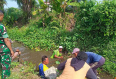 Dikawal Babinsa Petani Lakukan Patroli Air dan Pembersihan Saluran Irigasi 
