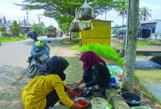 Warga Musi Rawas Ini Panen Rezeki dari Jual Belut di Pinggir Jalan 