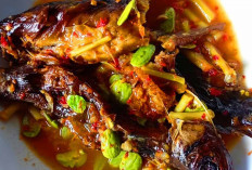 Salai Tempoyak Kuliner Ikonik Dusun Sumatra Selatan yang Satukan Ikan Patin dan Fermentasi Durian