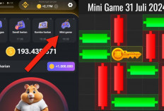 Update Terbaru Kunci Mini Game Hamster Kombat Hari Ini 31 Juli 2024, Ikuti Polanya Dalam Waktu 30 Detik