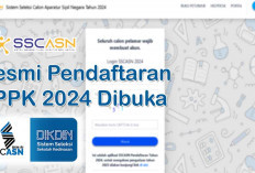 Resmi Pendaftaran PPPK 2024 Dibuka 1 Oktober, Cara Daftar dan Jadwal Pendaftaran