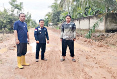 Petani Karet Mulai Beralih ke Pertanian Padi Sawah