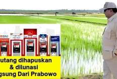 Cek Sisa Hutang UMKM di Bank Mandiri, BNI, BTN yang Dihapus Prabowo, Simak Cara Berikut ini 