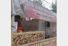 Ubi Cilembu, Si Manis dari Sumedang Digemari Warga Lubuk Linggau