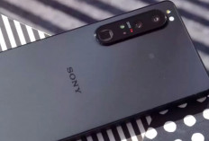 7 Rekomendasi Hp Sony Terbaru 2024, Bawa RAM Besar dan Internal  yang Super Legah