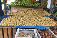 Duku Muara Enim Dijual Rp20 Ribu Per Kg, Pembeli Bisa Cicip Dulu
