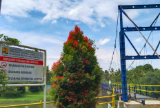 Bendungan Watervang Lubuk Linggau Ciptakan Kesadaran Keselamatan Bagi Wisatawan