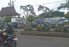 Warga Tak Sabar Ingin Lihat Taman Kurma Pasca Direvitalisasi Tapi Tak Kunjung Dibuka, ini Penyebabnya