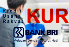 Syarat Pengajuan KUR BRI 2025 Terbaru, dengan Skema Suku Bunga dan Tanpa Agunan