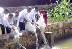 Kepala Kanwil Kemenkum HAM Sumsel Apresiasi Lapas Lubuk Linggau Soal Pengembangan SAE