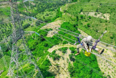 Pemerintah Putuskan Tarif Listrik Triwulan II 2026 Tidak Naik, PLN Siap Jaga Keandalan dan Kualitas Layanan