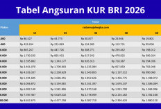 Pinjam Rp50 Juta di KUR BRI 2026! Segini Cicilan per Bulan untuk Tenor 1 hingga 5 Tahun