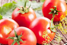Cara Alami Pudarkan Pori-Pori Hanya Gunakan Tomat, Perlu Dicoba Gampang Kok