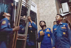 Petugas Damkar Musi Rawas Memusnahkan Sarang Tawon Vespa yang dikenal Punya Sengatan Menyakitkan