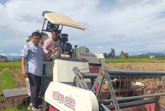 PPL Desa Tanah Periuk Lakukan Pendampingan Saat Panen Padi 