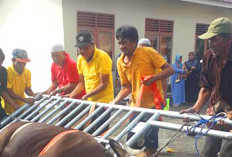 Masjid Baitul A'la Lubuk Linggau Sembelih 13 Hewan Kurban