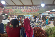 Harga Sayuran Bisa Berubah Dalam Hitungan Jam Dipengaruhi Pasokan
