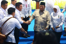 Bukti Nyata Kontribusi Sumsel Bagi Kedaulatan Pangan Indonesia 