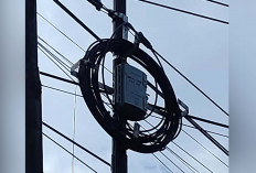 Warga Keluhkan Pemasangan Kabel Optik My Republik, Wali Kota Lubuk Linggau Angkat Bicara