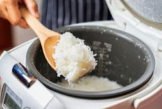 Nasi Jadi Cepat Kering Saat di Rice Cooker? Ini Alasannya yang Perlu Diketahui