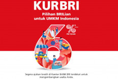 Program KUR BRI Jadi Solusi Finansial Andalan, 6 Strategi Dorong Pertumbuhan Ekonomi Lokal