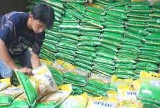 Dinas Ketahanan Pangan dan Bulog Jual Beras SPHP, Catat Jadwalnya 
