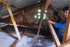 Meresahkan, Petugas Damkar Mura Evakuasi Kelelawar di Plafon Gedung TK