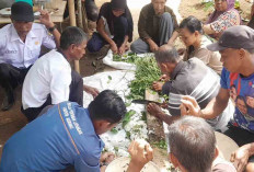 Kurangi Penggunaan Pestisida PPL Ajak Petani Membuat Pestisida Nabati 