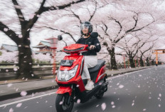 Motor Listrik Murah Rasa Mewah! MX-1200 Li Punya Fitur Lengkap dan Baterai Tahan Lama