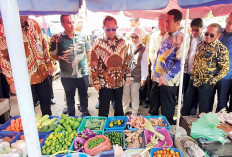 Kunjungan ke Sumsel, Mendagri Dorong Pemda Galakkan Gerakan Tanam Cabai