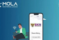 PPPK Paruh Waktu 2025 Bisa Nikmati Hak Ini, Tapi Hanya Kalau Sudah Cek NI di MOLA BKN