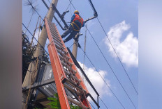Tangani Gangguan Listrik, PLN ULP Lubuk Linggau Butuh 40 Menit Penormalan
