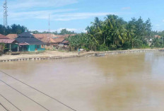 Warga Beringin Makmur I, Karang Dapo, dan Lubuk Kemang Diminta Waspada, BPBD Muratara : Jaga Anak, Jaga Ternak