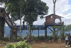 Wisata Kopi Hits, Belajar Proses Depati VII Coffee di Sungai Penuh Jambi