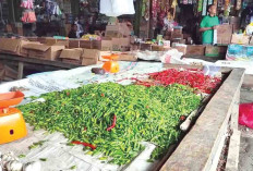 Musim Hujan, Penyebab Harga Cabai di Musi Rawas Mulai Naik