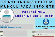 NRG Tidak Muncul di Info GTK Jangan Panik! Berikut 5 Penyebab dan Solusinya