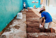 Program Ketahanan Pangan di Lapas Narkotika Kelas IIA Muara Beliti