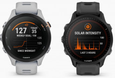 5 Smartwatch Garmin Termurah dan Terbaru 2024, Harga Mulai dari Rp 2 Jutaan