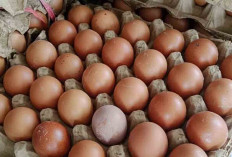 Ada 5 Komoditas Bahan Pangan Penyumbang Inflasi Terbesar