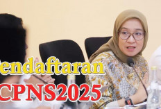 Pendaftaran CPNS 2025 Ada 30 Formasi Buka Peluang Terbanyak, Prediksi Kementerian PAN RB