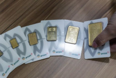 Rincian Harga Emas Antam Hari Ini, Stabil Tapi Apakah Ada Sinyal Perubahan di Baliknya