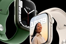 5 Rekomendasi Smartwatch Terbaik 2024, Harga Mulai dari Rp400 Ribuan