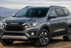 Saingi Segmen MPV Besar! Isuzu 9-Seater 2026 Bakal Hadir dengan Mesin Lebih Efisien