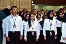 Pengangkatan CPNS dan PPPK 2024 Diundur, Bagaimana Nasib Para Peserta, Apakah Dapat Gaji Selama Penundaan?