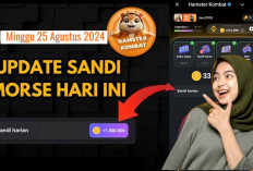 Baru Sandi Harian Hamster Kombat Hari Ini 25 Agustus 2024, Dapatkan hingga Jutaan Koin Gratis